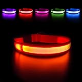 MASBRILL Hundehalsband Leuchtend USB Aufladbar Wasserdichtes LED Leuchthalsband für Kleine Mittlere...