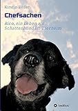 Chefsachen: Rico - ein Leben als Schattenhund im Tierheim