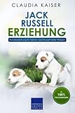 Jack Russell Erziehung: Hundeerziehung für Deinen Jack Russell Terrier Welpen