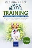 Jack Russell Training – Hundetraining für Deinen Jack Russell Terrier: Wie Du durch gezieltes...