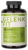 Schnüffelfreunde Gelenk Fit I Nahrungsergänzungsmittel für Hunde zur Unterstützung der Knochen...