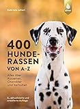 400 Hunderassen von A-Z: Alles über Aussehen, Charakter und Verhalten