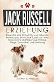 Jack Russell Erziehung: Bauen Sie eine einzigartige und liebevolle Beziehung zu Ihrem Jack Russell...