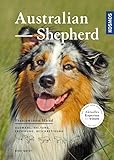 Australian Shepherd: Auswahl, Haltung, Erziehung, Beschäftigung