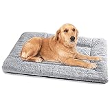 Baodan Hundebett Mittelgroße Kleine Hunde, Hundekissen Waschbar Dog Bed - 75x50 cm Superweich...