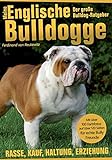 Meine Englische Bulldogge - Der große Bulldog-Ratgeber: Rasse, Kauf, Haltung, Erziehung