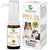 GLOBAL NATUREON® Cannabi Pets Öl 500 mg (30 ml) auf Lachsölbasis, Beruhigungsmittel für Hunde...