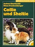 Collie und Sheltie