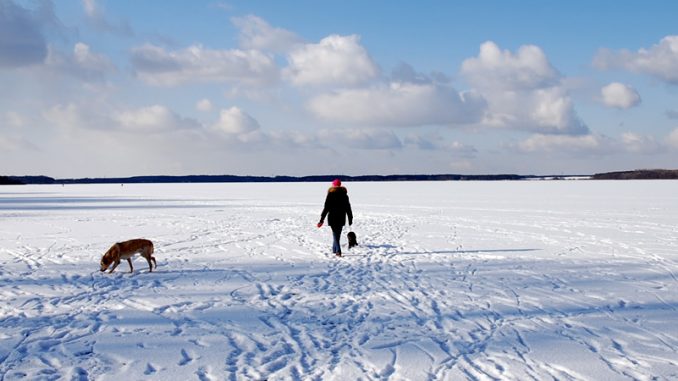 Fleesensee im Winter