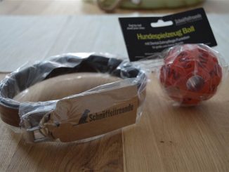 Hundehalsband aus Leder und Hundespielball