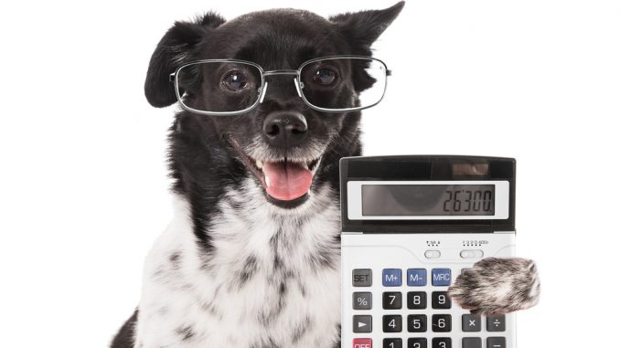 Hund mit Brille hält einen Taschenrechner in der Pfote