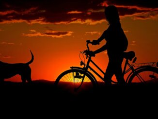 Frau mit Hund am Fahrrad im Sonnenuntergang