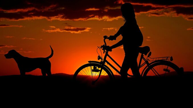 Frau mit Hund am Fahrrad im Sonnenuntergang